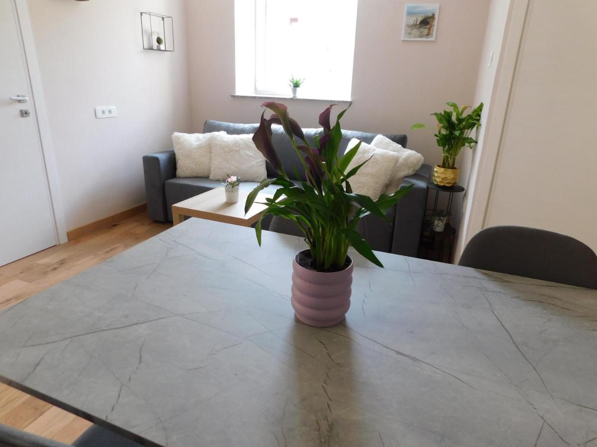 Hisa Limoni Apartment Копер Екстериор снимка